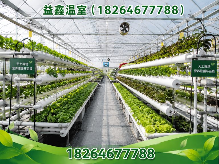 山东玻璃温室展示图