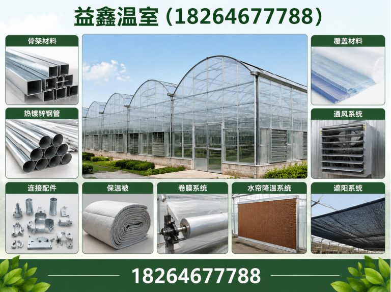 山东无土栽培大棚展示图